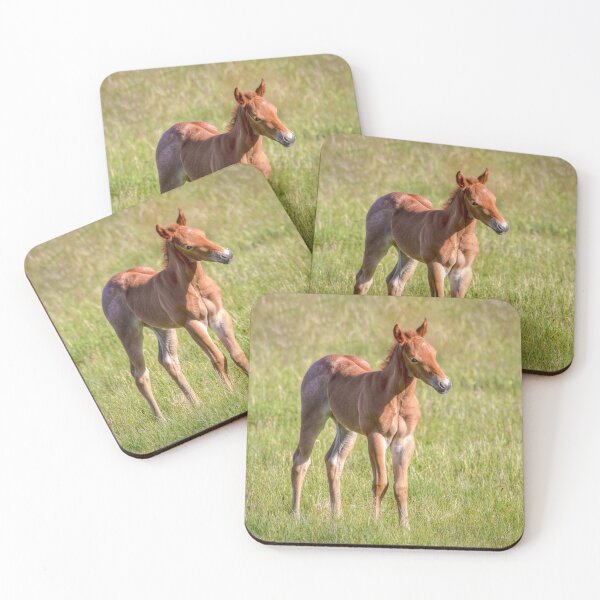 Item preview, Potra en un campo 01027 designed and sold by Kristina Rinell.