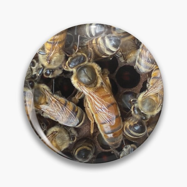 Item preview, Queen Bee Honey Bee Image designed and sold by JDMHoney.