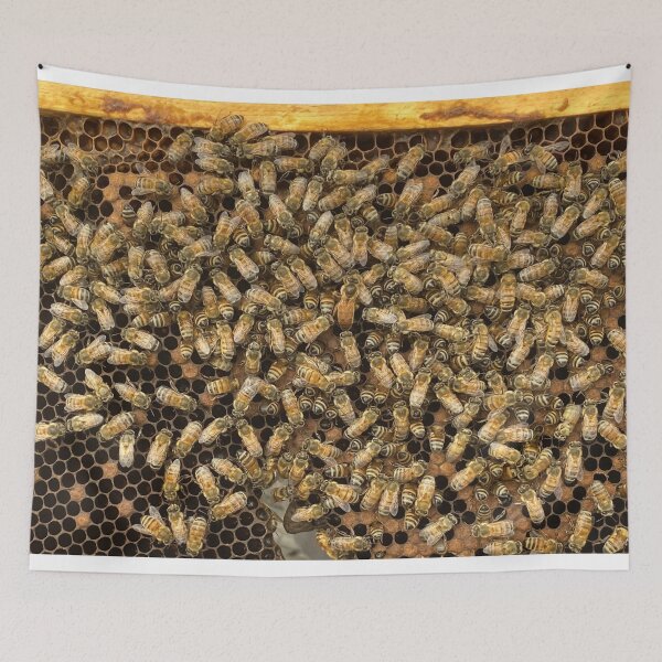 Item preview, Honey Bee Colony Spot The Queen designed and sold by JDMHoney.