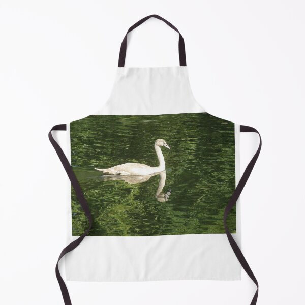 Item preview, Mute Swan Cygnet and Reflection on the Water Photograph designed and sold by naturegallery.