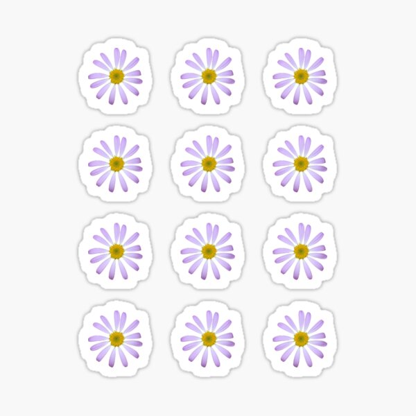 Aesthetic Daisy Sticker Pack-packaging Supply 