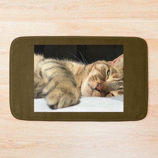 Item preview, It's A Cats Life! designed and sold by Photoluminous.