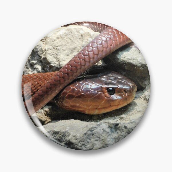 Item preview, Red spitting cobra  designed and sold by Zarabeaver.