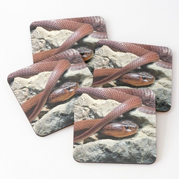 Item preview, Red spitting cobra  designed and sold by Zarabeaver.