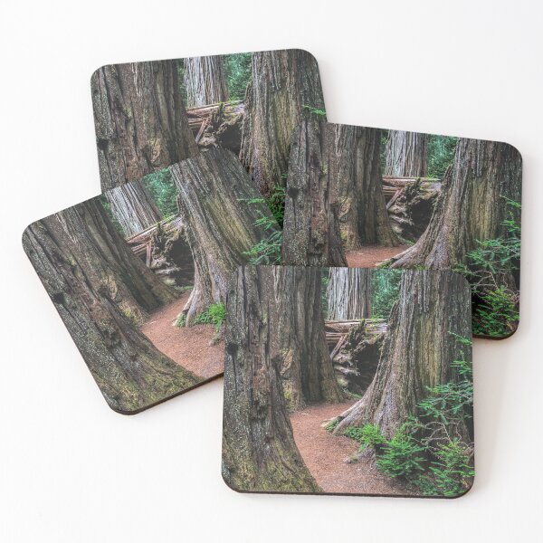 Item preview, The Path I Walk designed and sold by GeorgeBuxbaum.
