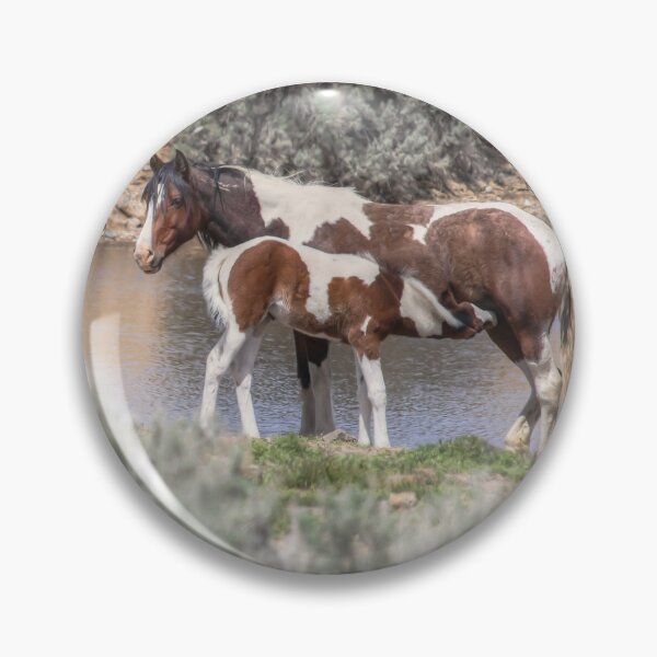 Item preview, Lunchtime - South Steens Mustangs 0999 designed and sold by Kristina Rinell.