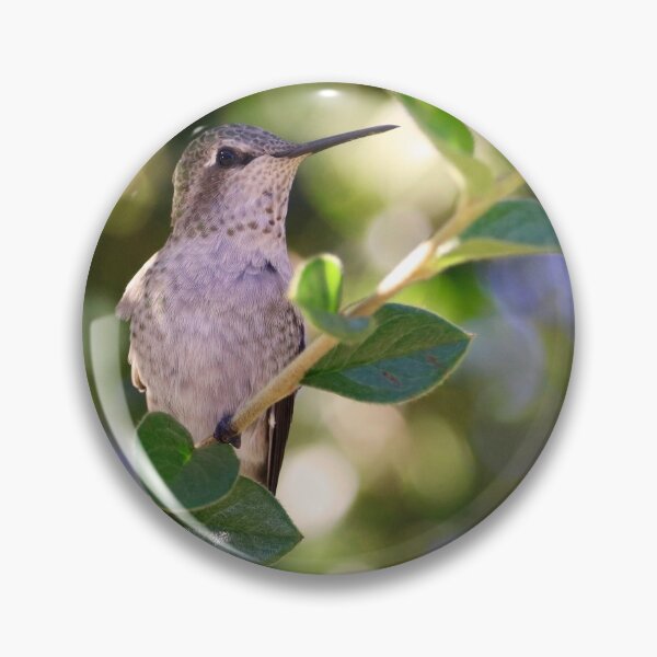 Item preview, Anna's Hummingbird in Spring designed and sold by KsbAesthetics.