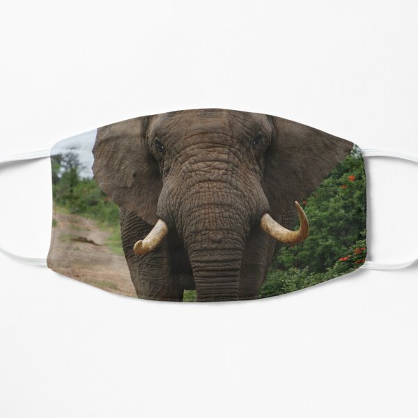 Elephant Mask