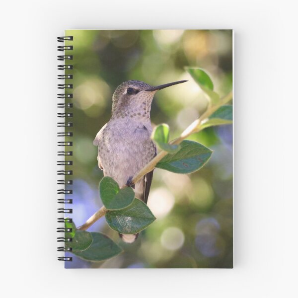 Item preview, Anna's Hummingbird in Spring designed and sold by KsbAesthetics.