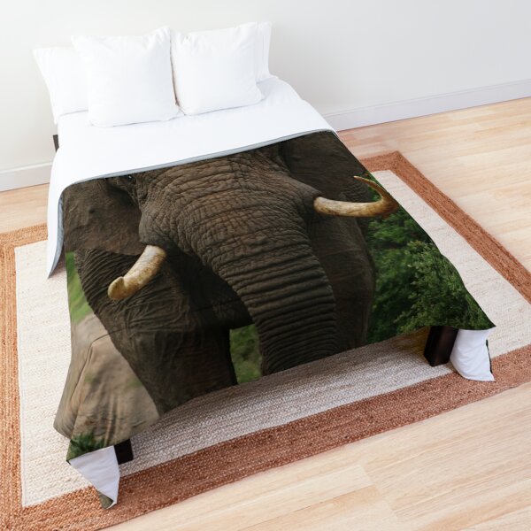 Elephant Comforter