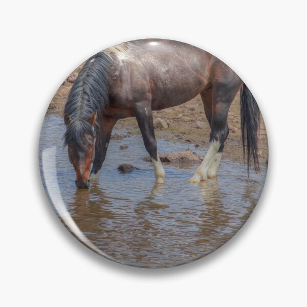 Item preview, Reflecting - South Steens Mustangs 01006 designed and sold by Kristina Rinell.