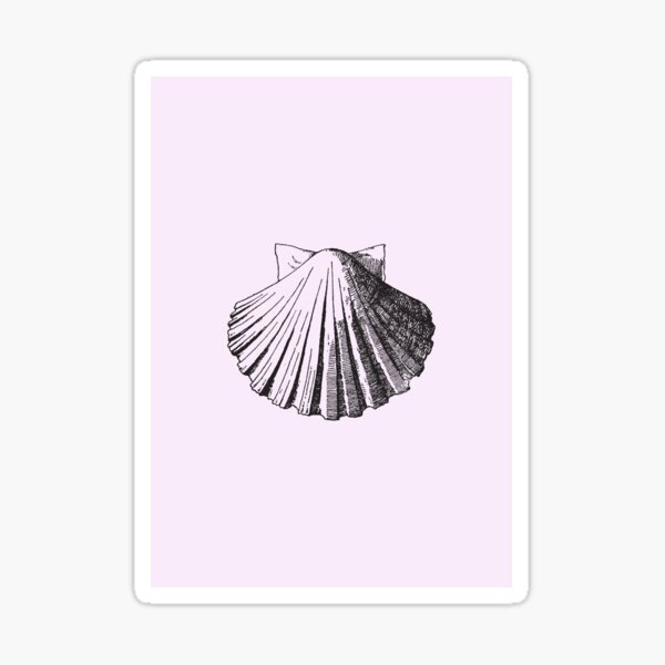 "shell" Sticker for Sale by Lapetiteredac Redbubble