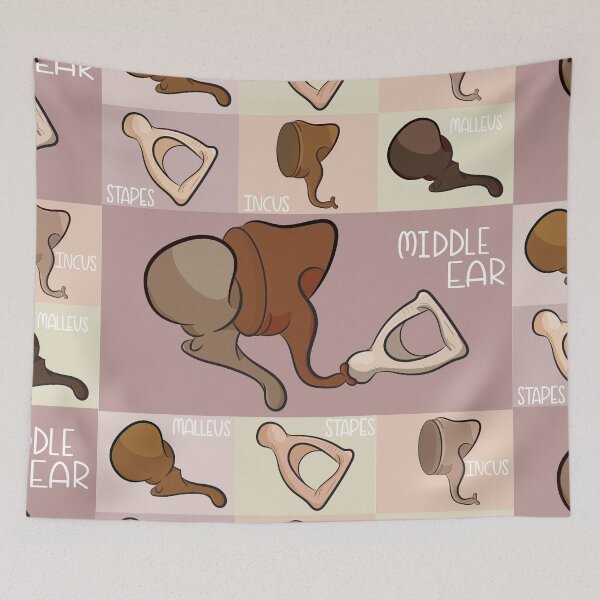 Item preview, Middle Ear Anatomy Neutral  Illustration  designed and sold by StacyAnnDesigns.