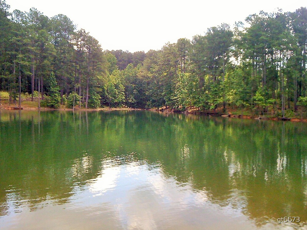 "Overlooking Allatoona Lake " by gt6673 Redbubble