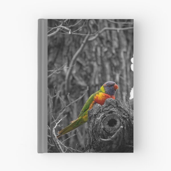 Item preview, Birds Series - Tropical Rainbow Lorikeet designed and sold by Photoluminous.