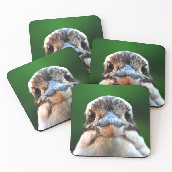 Item preview, Staring Kookaburra  designed and sold by Digitaldingo.