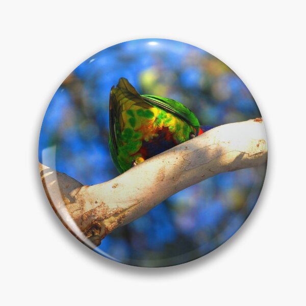 Item preview, Rainbow Lorikeet Beautiful Bottom designed and sold by Digitaldingo.