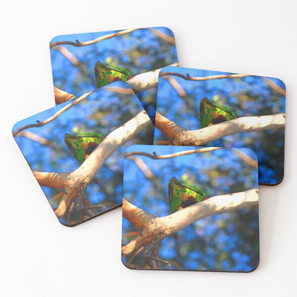 Item preview, Rainbow Lorikeet Beautiful Bottom designed and sold by Digitaldingo.