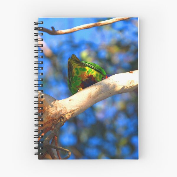 Item preview, Rainbow Lorikeet Beautiful Bottom designed and sold by Digitaldingo.