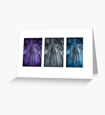Willow Tri Panel Greeting Card