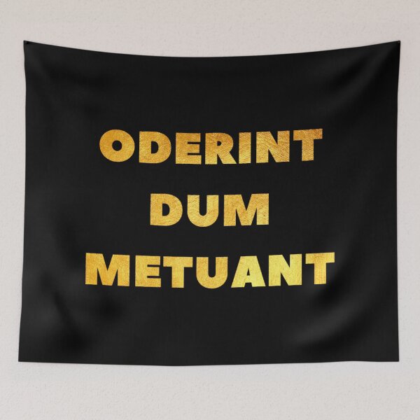 Item preview, Let them hate, so long as they fear. ODERINT DUM METUANT designed and sold by DotorEaon.