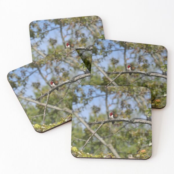 Item preview, Red Headed Woodpecker on a Branch designed and sold by lisapicklepizza.