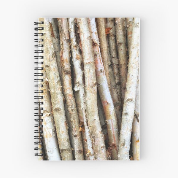 Item preview, Upright group of Colorful Birch logs designed and sold by NearScapes.