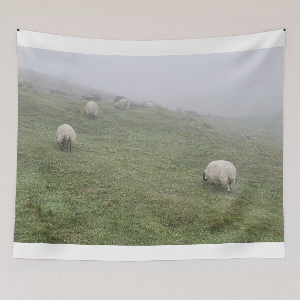 Item preview, Sheep at Slieve League, Ireland designed and sold by Primal Frog.