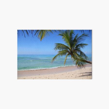 Tropical Caribbean Beach Art Board Print