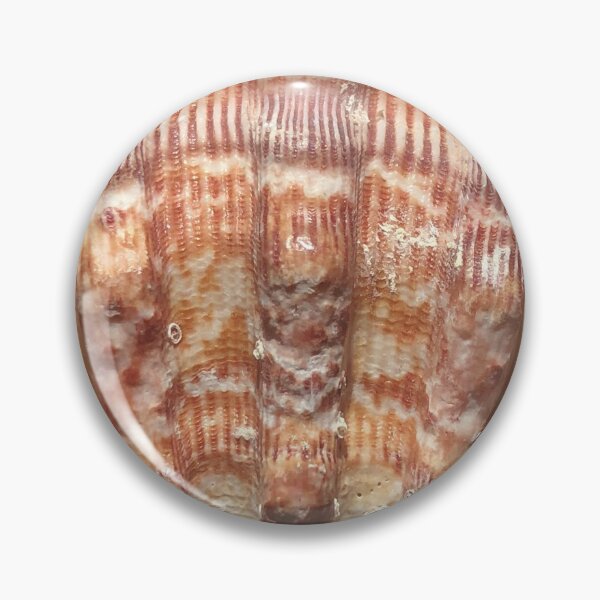 Item preview, Shell Seashell Sea shore  designed and sold by Kaushal Pal.