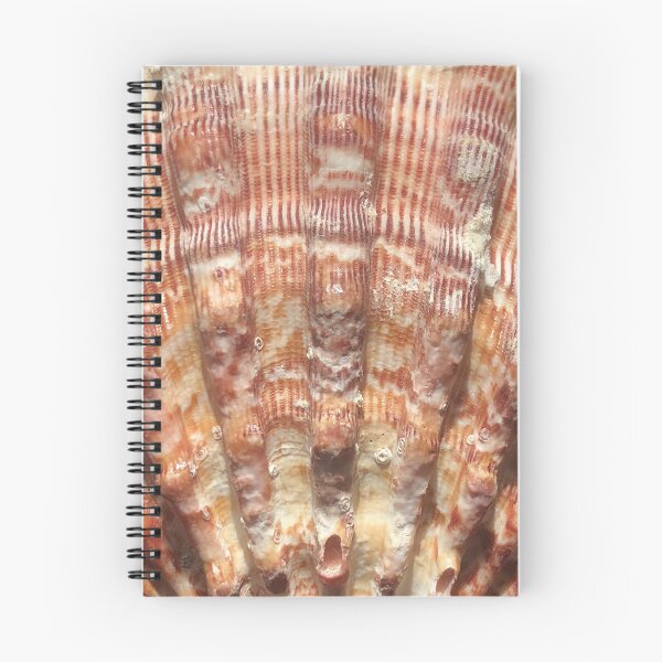 Item preview, Shell Seashell Sea shore  designed and sold by Kaushal Pal.
