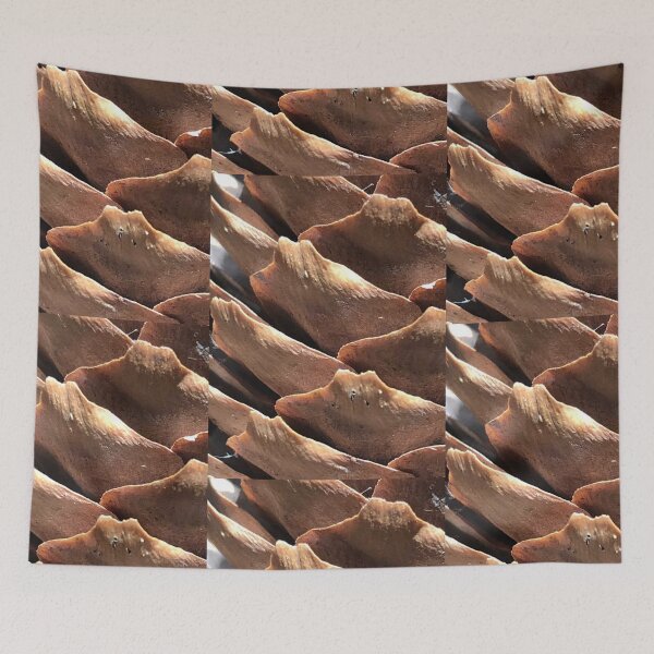 Item preview, Pinecone Nature Awakened Scales  designed and sold by Kaushal Pal.