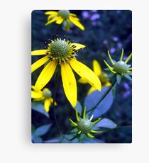 golden spikey...? Canvas Print
