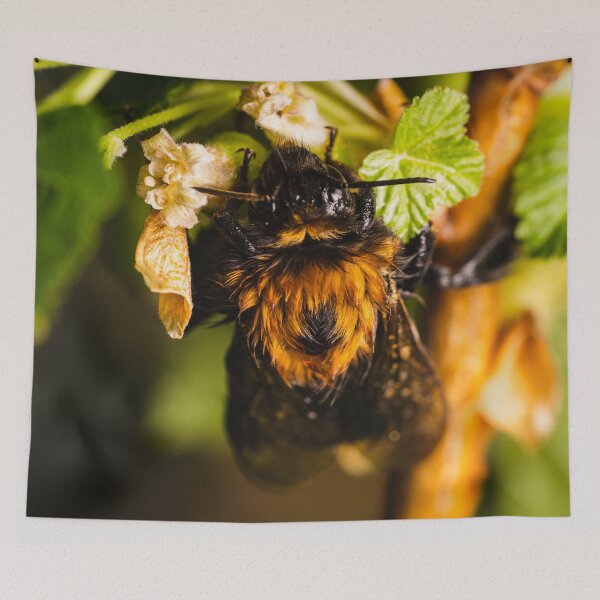 Item preview, Soaked Bee Nibbling On Pollen designed and sold by AdrianBaev.