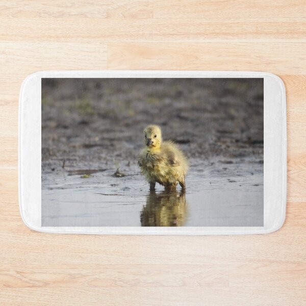 Item preview, Pigpen designed and sold by Sandi Walmsley.