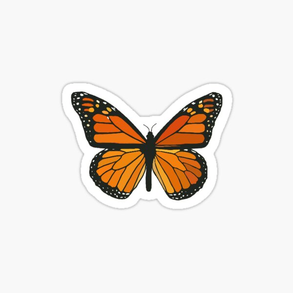 Paper & Party Supplies Paper Bumper Stickers Butterfly Sticker Moth ...