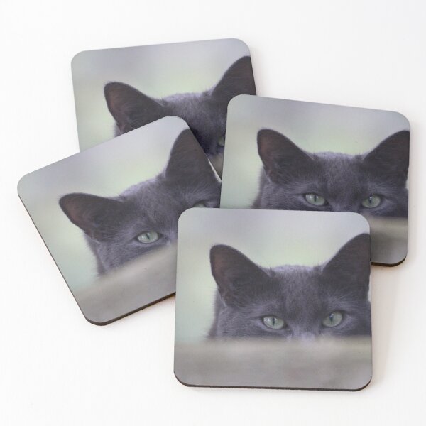 Item preview, Scaredy-cat  designed and sold by Sandi Walmsley.