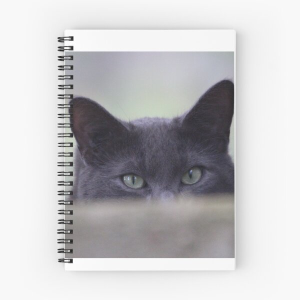 Item preview, Scaredy-cat  designed and sold by Sandi Walmsley.