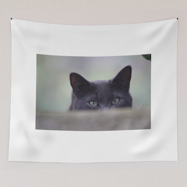 Item preview, Scaredy-cat  designed and sold by Sandi Walmsley.