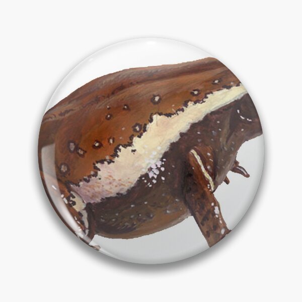 Item preview, Amphibious Attraction designed and sold by wahine24.