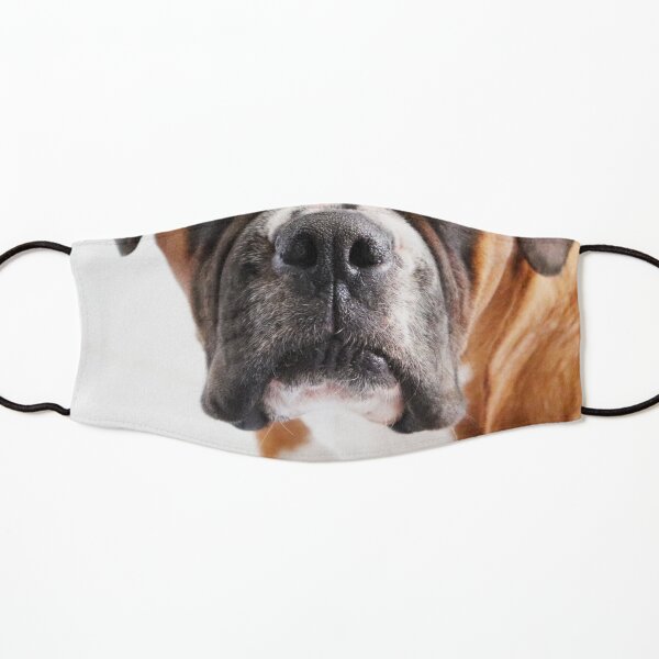 Dog Nose Boxer Kids Mask
