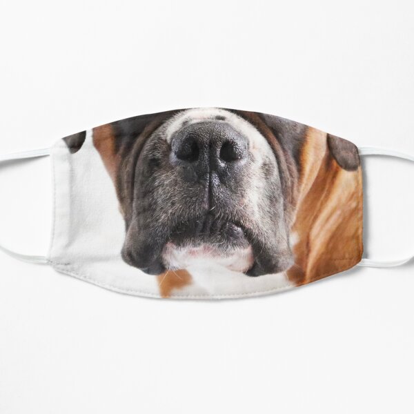 Dog Nose Boxer Flat Mask