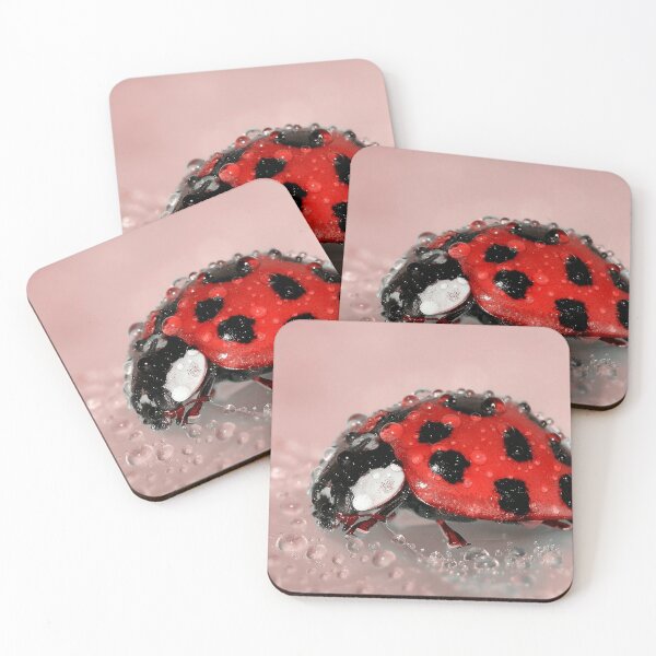 Item preview, Ladybug Closeup designed and sold by dadthebubblegut.