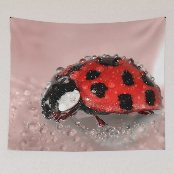 Item preview, Ladybug Closeup designed and sold by dadthebubblegut.