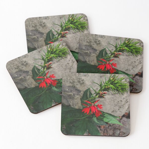 Item preview, Red Flower Photo  designed and sold by KnownNowhere.