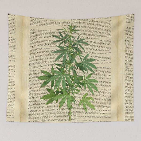 Item preview, Botanical print, on old book page - cannabis designed and sold by Red Witch Art.