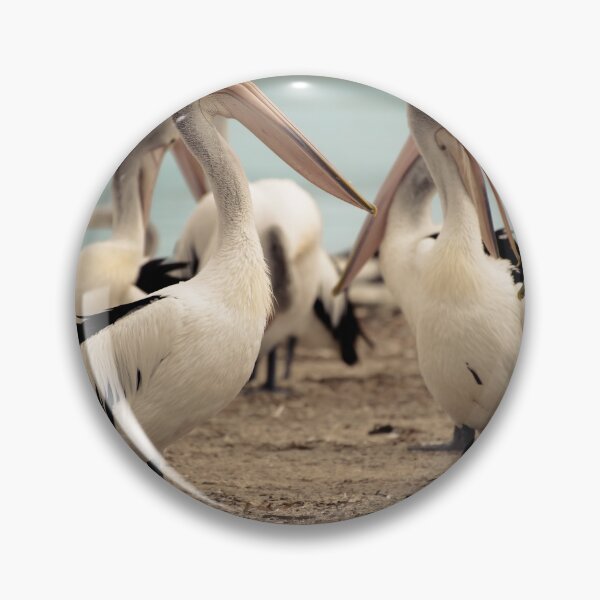 Item preview, Pelicans designed and sold by Kana Photography.