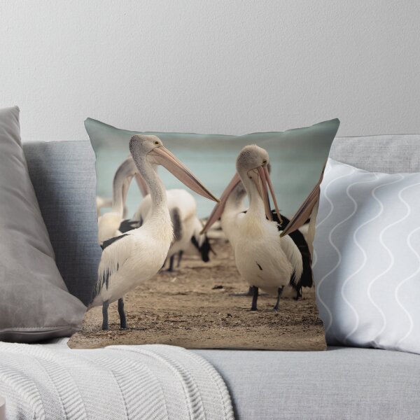 Item preview, Pelicans designed and sold by Kana Photography.