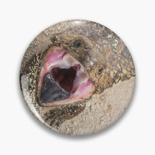 Item preview, Shingleback Lizard designed and sold by Kana Photography.