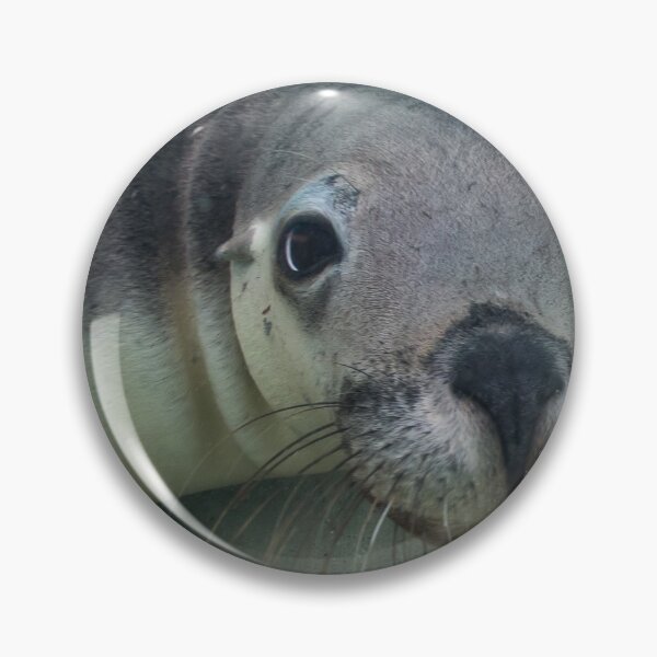Item preview, Seal designed and sold by Kana Photography.
